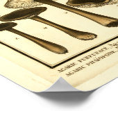 paddenstoelen Bruin Zwart Frans Kunstwerk Afdrukk Poster (Hoek)