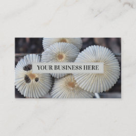 Paddenstoelen buiten Fungus Sprouting Paddenstoel Visitekaartje