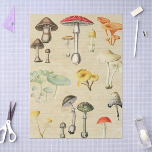Paddenstoelen Collage Tissuepapier (Craft)