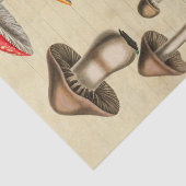 Paddenstoelen Collage Tissuepapier (Detail)