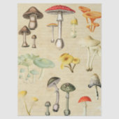 Paddenstoelen Collage Tissuepapier (Voorkant)