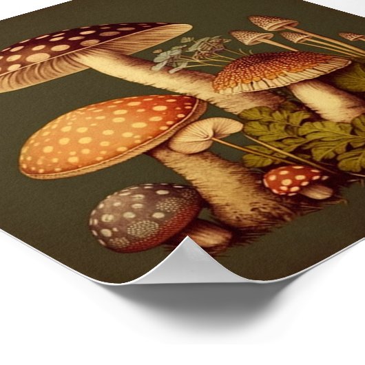  paddenstoelen Collectie 1 Poster (Hoek)