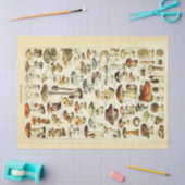 Paddenstoelen  debetpapier tissuepapier (Craft)