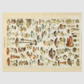 Paddenstoelen  debetpapier tissuepapier (Voorkant)