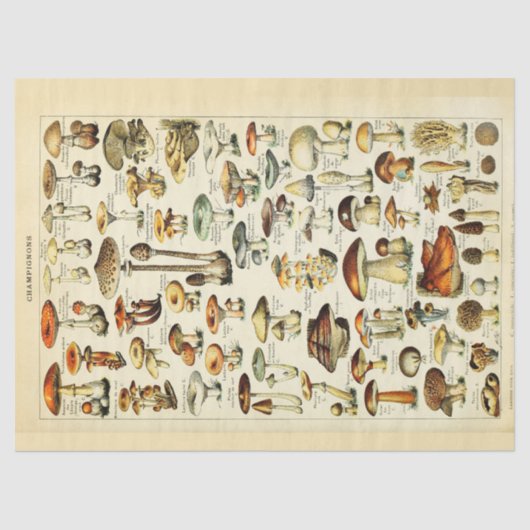 Paddenstoelen debetpapier tissuepapier (Voorkant)