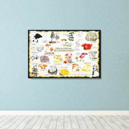 Paddenstoelen (eetbaar en medicinaal) Groot Canvas (Insitu (Houten vloer))