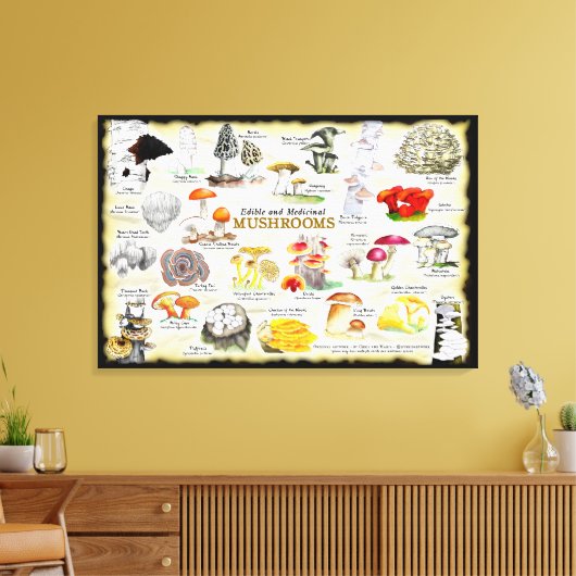 Paddenstoelen (eetbaar en medicinaal) Groot Canvas (Insitu (Woonkamer))