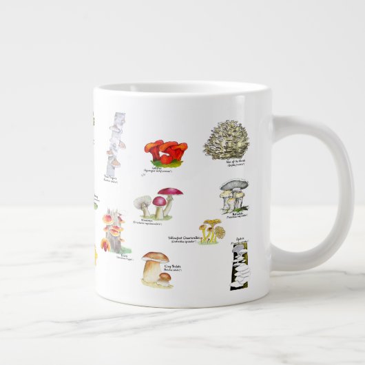 Paddenstoelen (eetbaar en medicinaal) grote koffiekop (Rechts)