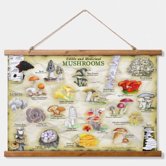Paddenstoelen (eetbaar en medicinaal) hangend wandkleed (Voorkant)