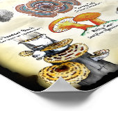 Paddenstoelen (eetbaar en medicinaal) poster (Hoek)