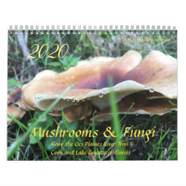 Paddenstoelen en fungi 2020-kalender kalender