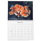Paddenstoelen en fungi 2020-kalender kalender (Mar 2027)