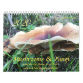 Paddenstoelen en fungi 2020-kalender kalender (Hoes)