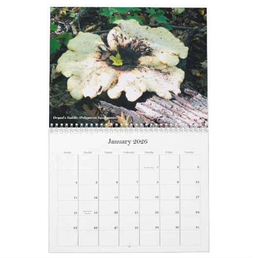 Paddenstoelen en fungi 2020-kalender kalender (Jan 2026)