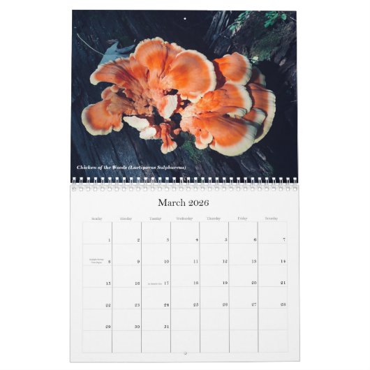 Paddenstoelen en fungi 2020-kalender kalender (Mar 2026)