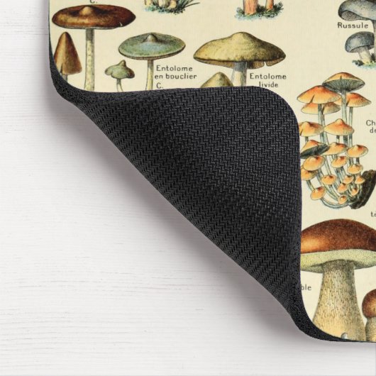  paddenstoelen en Fungi Muismat (Hoek)