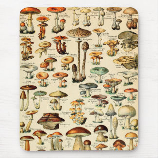paddenstoelen en Fungi Muismat
