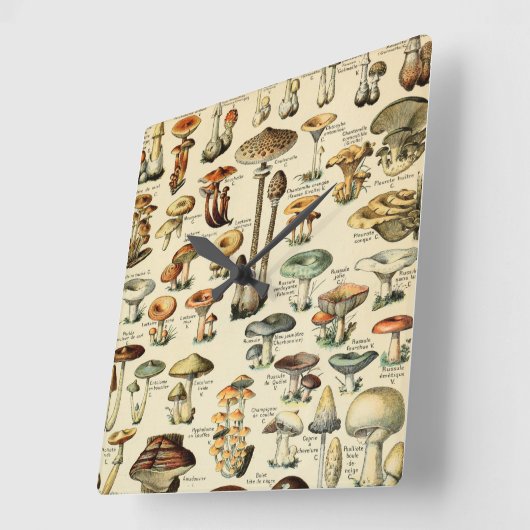  paddenstoelen en Fungi Vierkante Klok (Hoek)