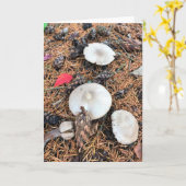 Paddenstoelen en pingenkegels kaart (Gele Bloem)