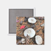 Paddenstoelen en pingenkegels magneet (Voorkant / Achterkant)