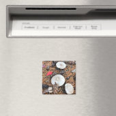 Paddenstoelen en pingenkegels magneet (Insitu (Vaatwasser))
