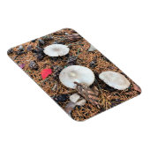 Paddenstoelen en pingenkegels magneet (Rechterzijde)