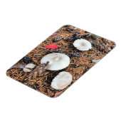 Paddenstoelen en pingenkegels magneet (Linkerzijde)