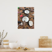 Paddenstoelen en pingenkegels poster (Keuken)