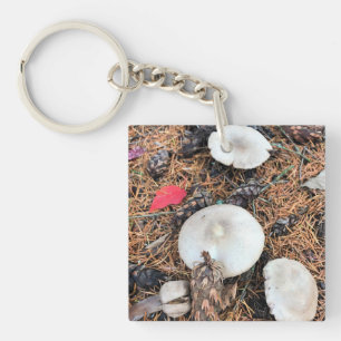 Paddenstoelen en pingenkegels sleutelhanger
