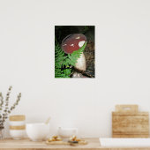 Paddenstoelen en Poster van Fern (Keuken)