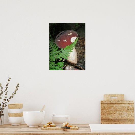 Paddenstoelen en Poster van Fern (Keuken)