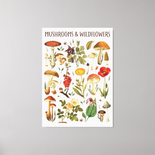  Paddenstoelen en Wildflower Chart Canvas Afdruk (Voorkant)