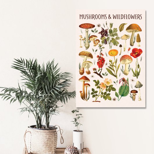  Paddenstoelen en Wildflower Chart Canvas Afdruk