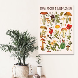  Paddenstoelen en Wildflower Chart Canvas Afdruk