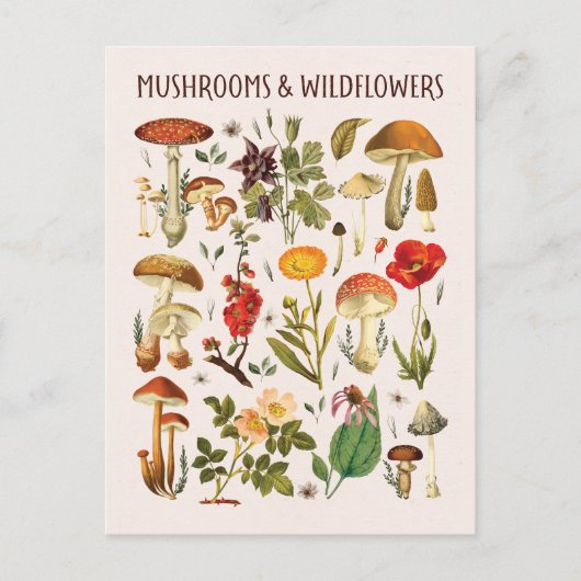  Paddenstoelen en Wildflower Chart Wall Art Briefkaart (Voorkant)