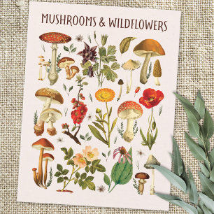  Paddenstoelen en Wildflower Chart Wall Art Briefkaart