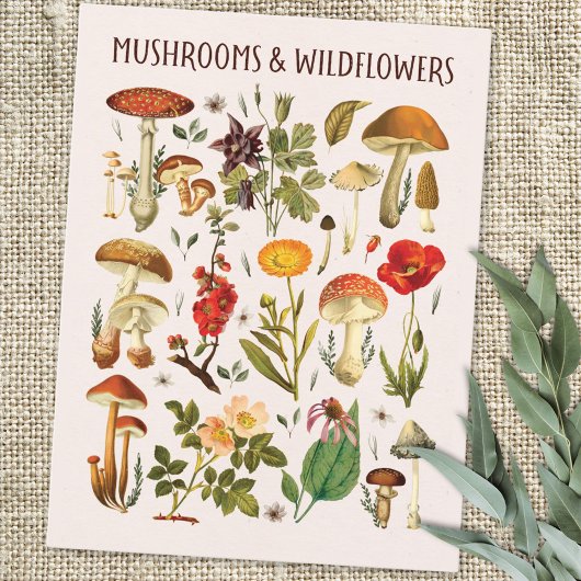  Paddenstoelen en Wildflower Chart Wall Art Briefkaart