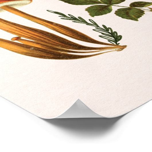  Paddenstoelen en Wildflower Chart Wall Art Poster (Hoek)