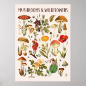 Paddenstoelen en Wildflower Chart Wall Art Poster (Voorkant)