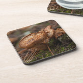 paddenstoelen foto drankjes onderzetter (Linkerzijde)