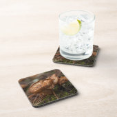 paddenstoelen foto drankjes onderzetter (Rechterzijde)