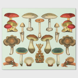  paddenstoelen Fungi-Planten Botanische tuinkraakb Cadeaupapier