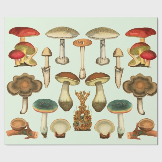  paddenstoelen Fungi-Planten Botanische tuinkraakb Cadeaupapier (Vlak)