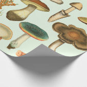  paddenstoelen Fungi-Planten Botanische tuinkraakb Cadeaupapier (Hoek)