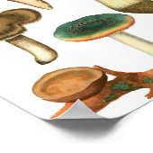 Paddenstoelen Fungi Planten Natuur Botanische kuns Poster (Hoek)