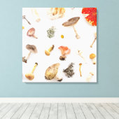 paddenstoelen Fungus Canvas Afdruk (Insitu (Houten vloer))