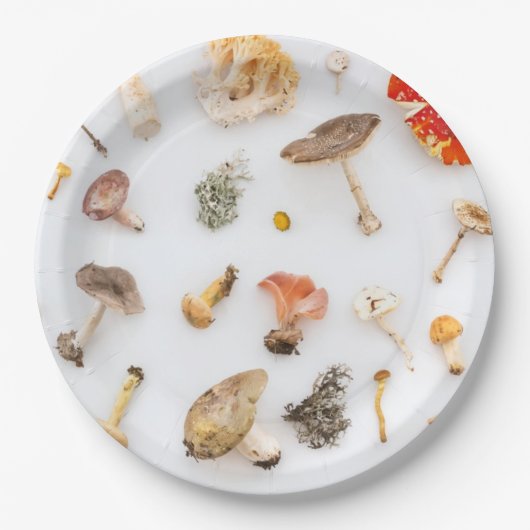 paddenstoelen Fungus Papieren Bordje (Voorkant)