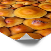 paddenstoelen Fungus Poster (Hoek)
