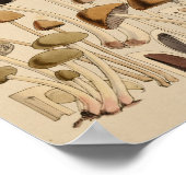  paddenstoelen Groene bruine kunst afdrukken Poster (Hoek)