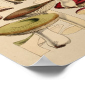  paddenstoelen Groene Rode Kunst afdrukken Poster (Hoek)